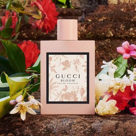 fragrantica gucci bloom.